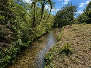Brook- click for photo gallery